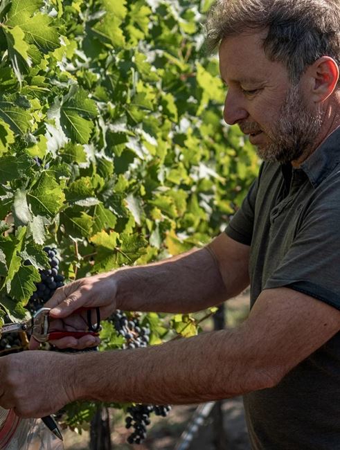 Winemaker, Philippe Melka